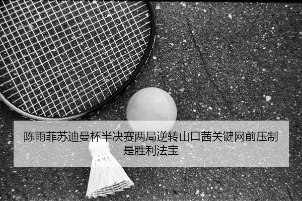chen-yu-fei-su-di-man-bei-ban-jue-sai-liang-ju-ni-zhuan-shan-kou-qian-guan-jian-wang-qian-ya-zhi-shi-sheng-li-fa-bao-3-632.jpg